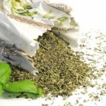 origano
